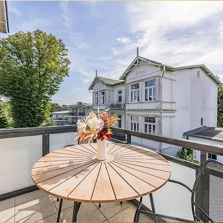 Sanke Sonnenschein